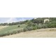 Properties for Sale_Farmhouses to restore_PRESTIGIOUS PALAZZO NOBILIARE IN THE COUNTRYSIDE FOR SALE IN FERMO SURROUNDING THE WONDERFUL 1800 IN PANORAMIC POSITION in the Marche region in Italy in Le Marche_28